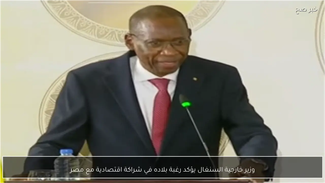 وزير خارجية السنغال يؤكد رغبة بلاده في شراكة اقتصادية مع مصر