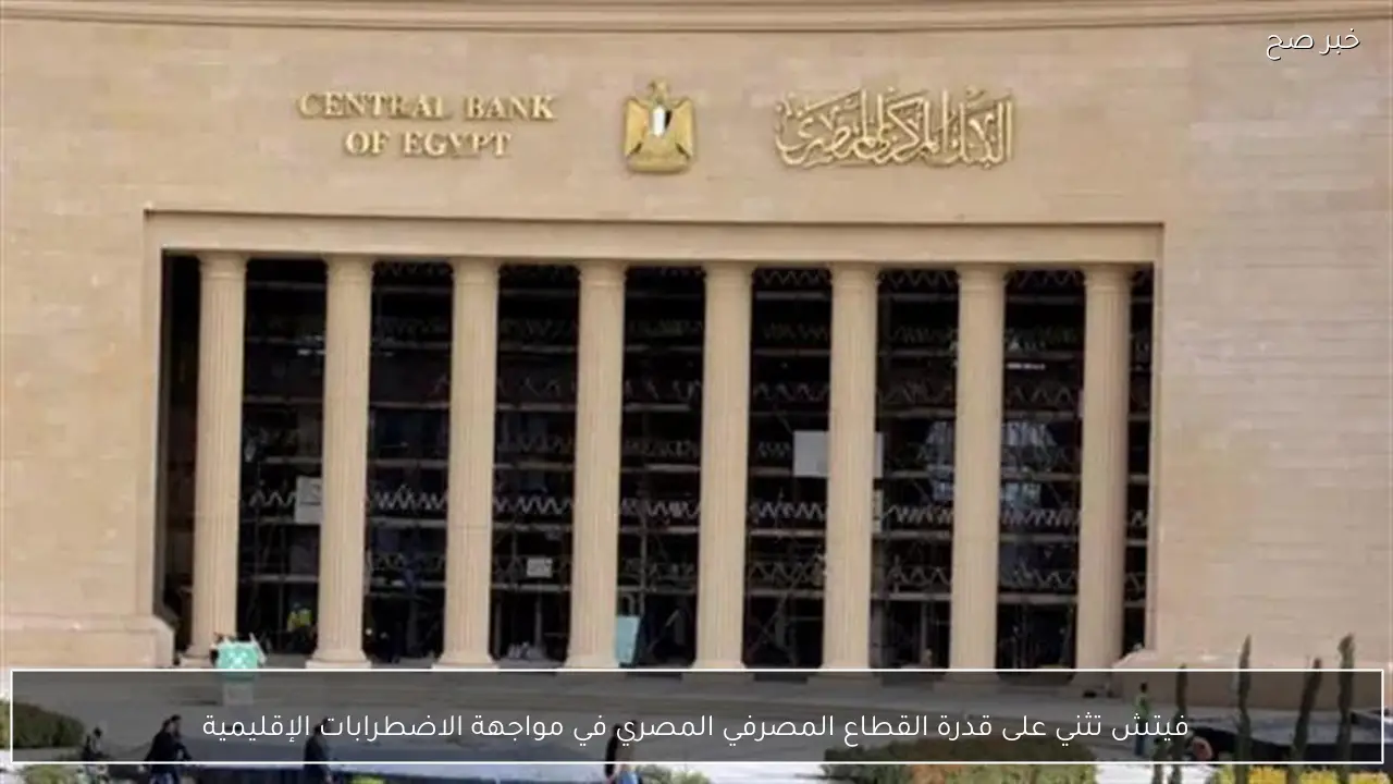 فيتش تثني على قدرة القطاع المصرفي المصري في مواجهة الاضطرابات الإقليمية