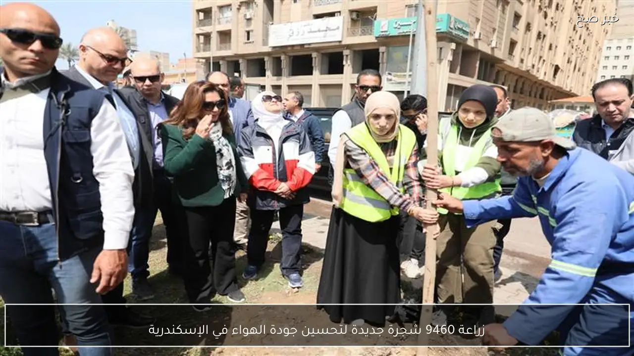 زراعة 9460 شجرة جديدة لتحسين جودة الهواء في الإسكندرية