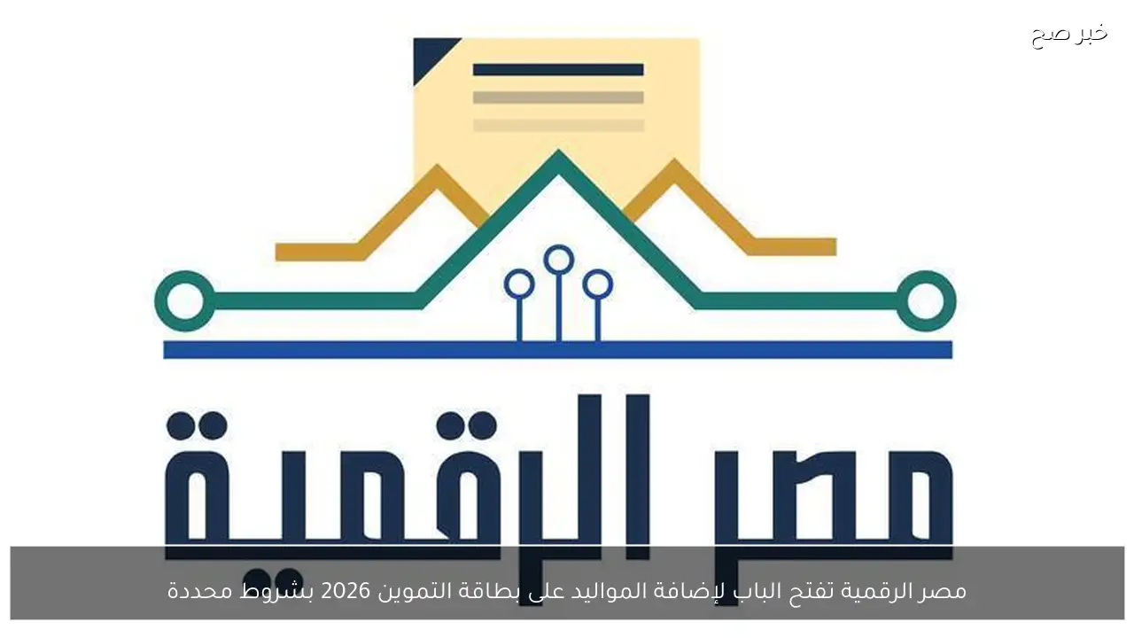 مصر الرقمية تفتح الباب لإضافة المواليد على بطاقة التموين 2026 بشروط محددة