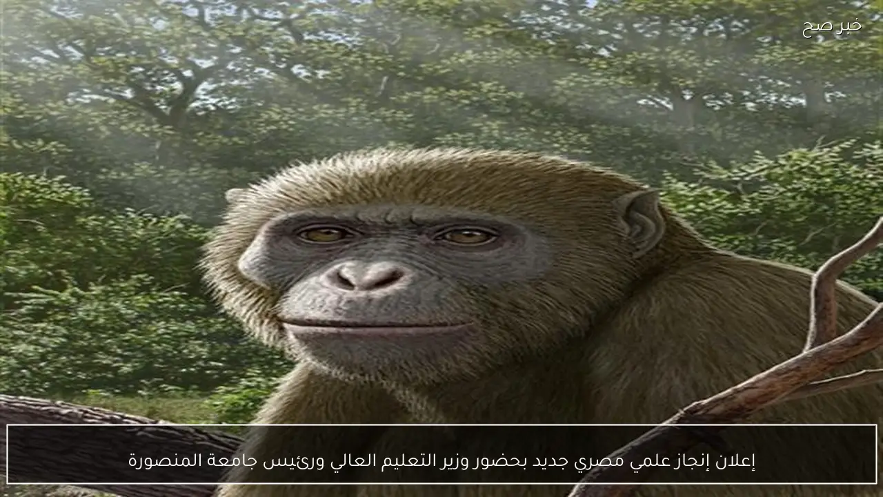 إعلان إنجاز علمي مصري جديد بحضور وزير التعليم العالي ورئيس جامعة المنصورة