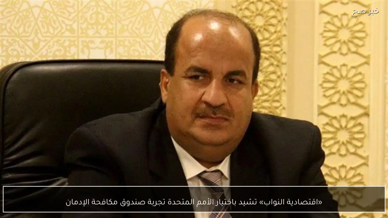 «اقتصادية النواب» تشيد باختيار الأمم المتحدة تجربة صندوق مكافحة الإدمان