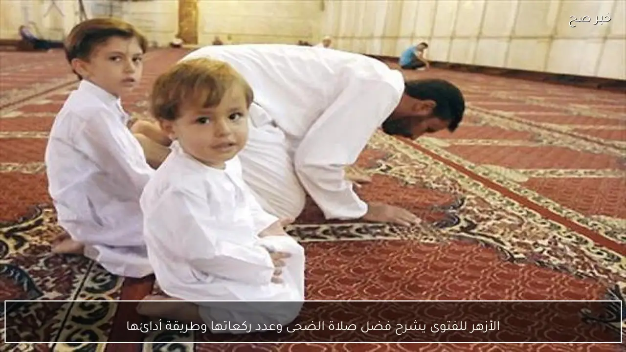 الأزهر للفتوى يشرح فضل صلاة الضحى وعدد ركعاتها وطريقة أدائها