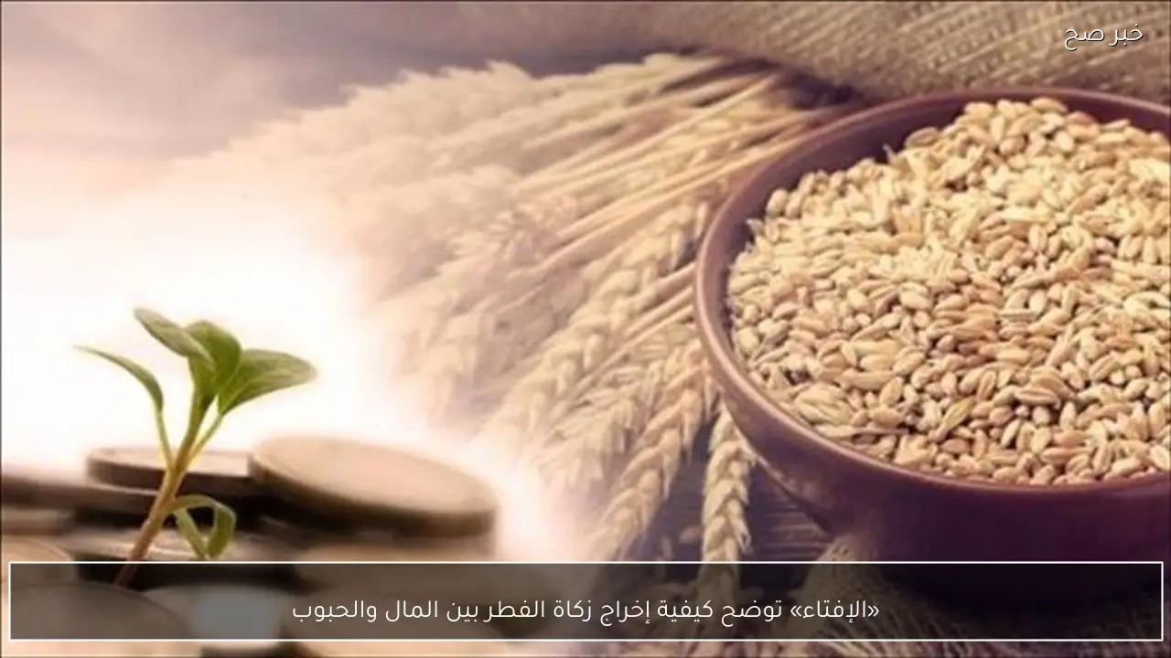 «الإفتاء» توضح كيفية إخراج زكاة الفطر بين المال والحبوب