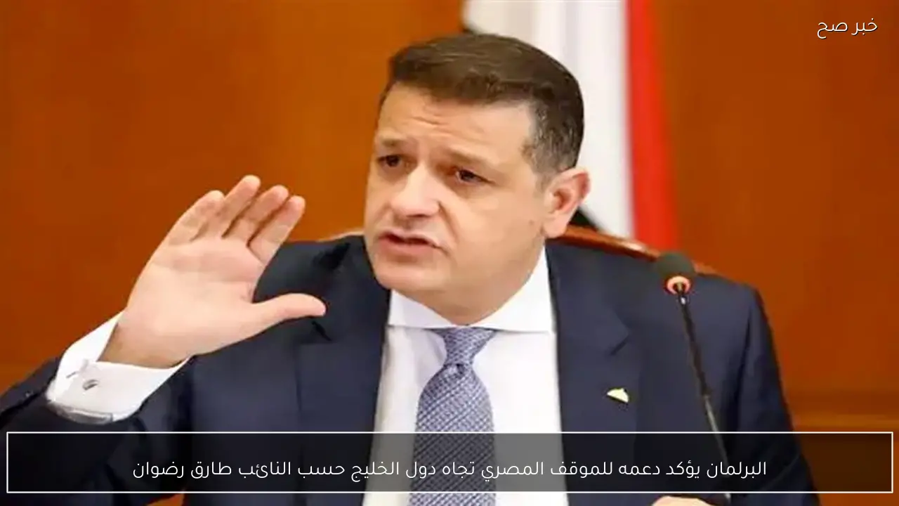 البرلمان يؤكد دعمه للموقف المصري تجاه دول الخليج حسب النائب طارق رضوان