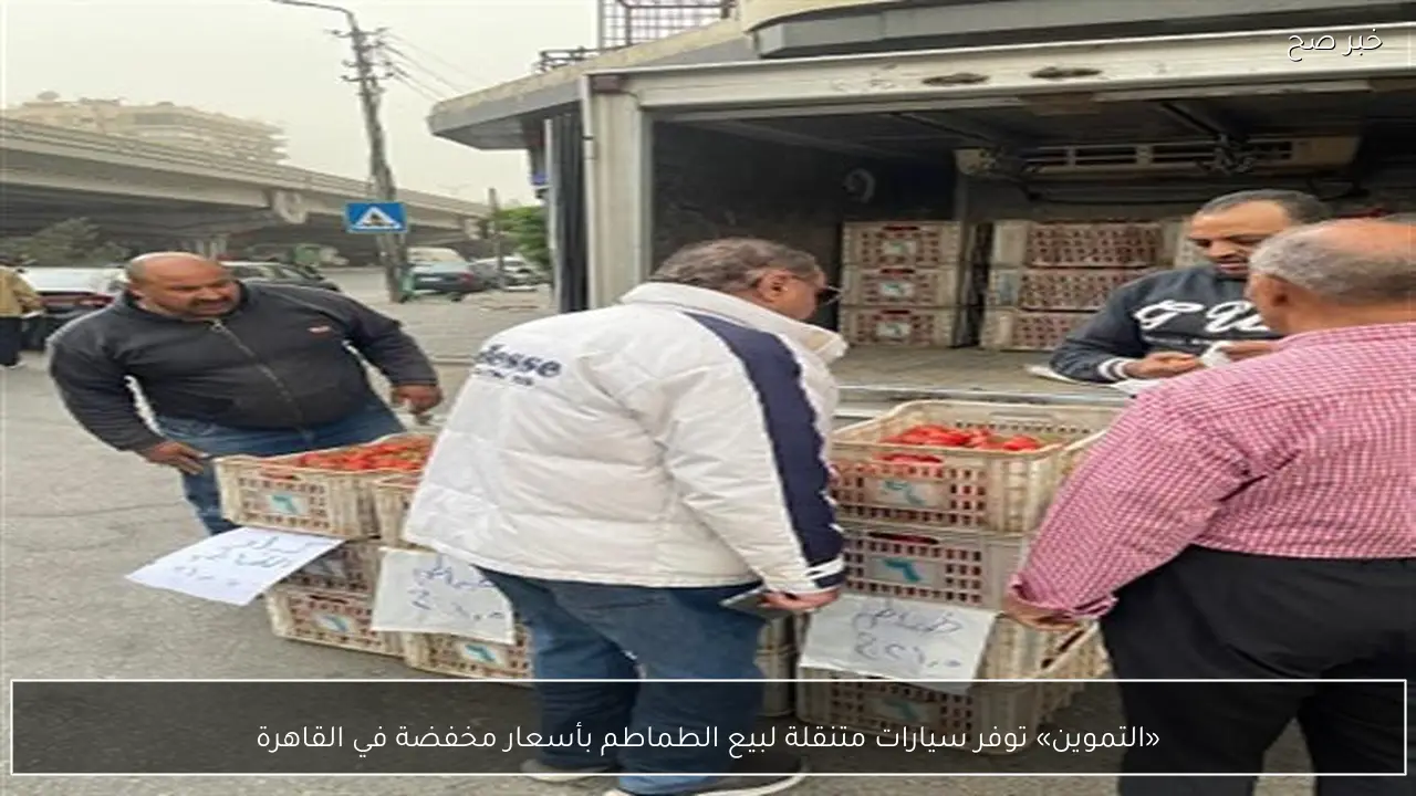 «التموين» توفر سيارات متنقلة لبيع الطماطم بأسعار مخفضة في القاهرة