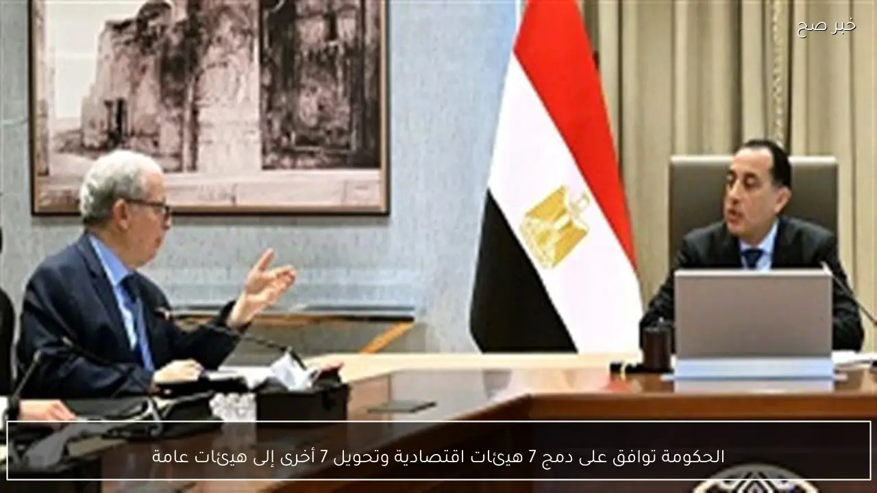 الحكومة توافق على دمج 7 هيئات اقتصادية وتحويل 7 أخرى إلى هيئات عامة