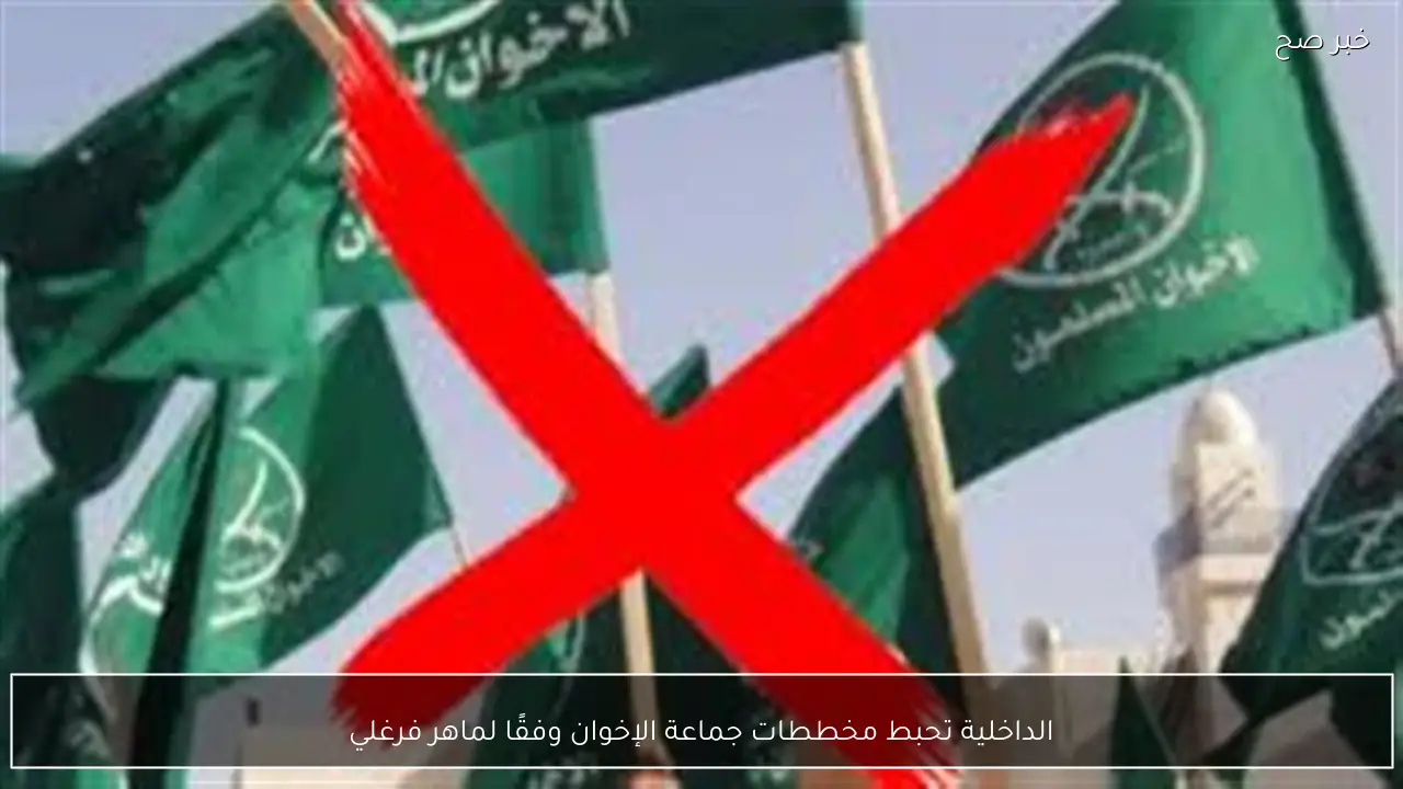 الداخلية تحبط مخططات جماعة الإخوان وفقًا لماهر فرغلي