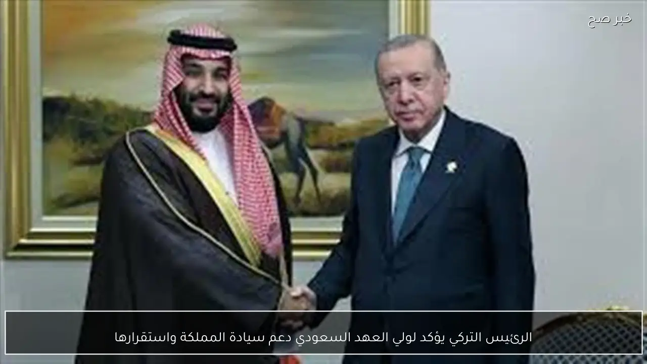 الرئيس التركي يؤكد لولي العهد السعودي دعم سيادة المملكة واستقرارها