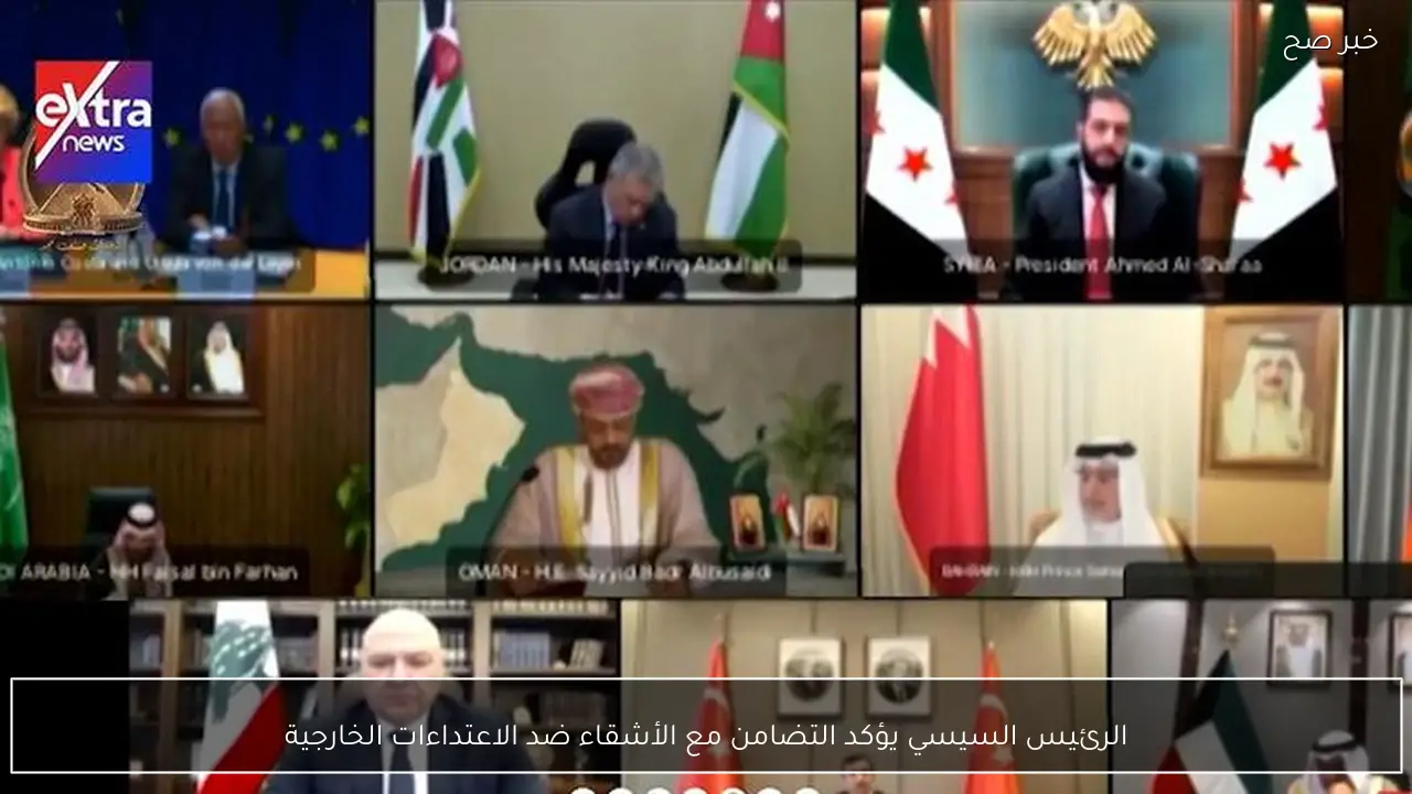 الرئيس السيسي يؤكد التضامن مع الأشقاء ضد الاعتداءات الخارجية