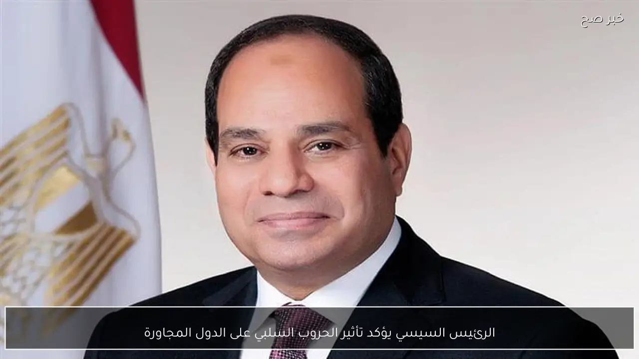 الرئيس السيسي يؤكد تأثير الحروب السلبي على الدول المجاورة