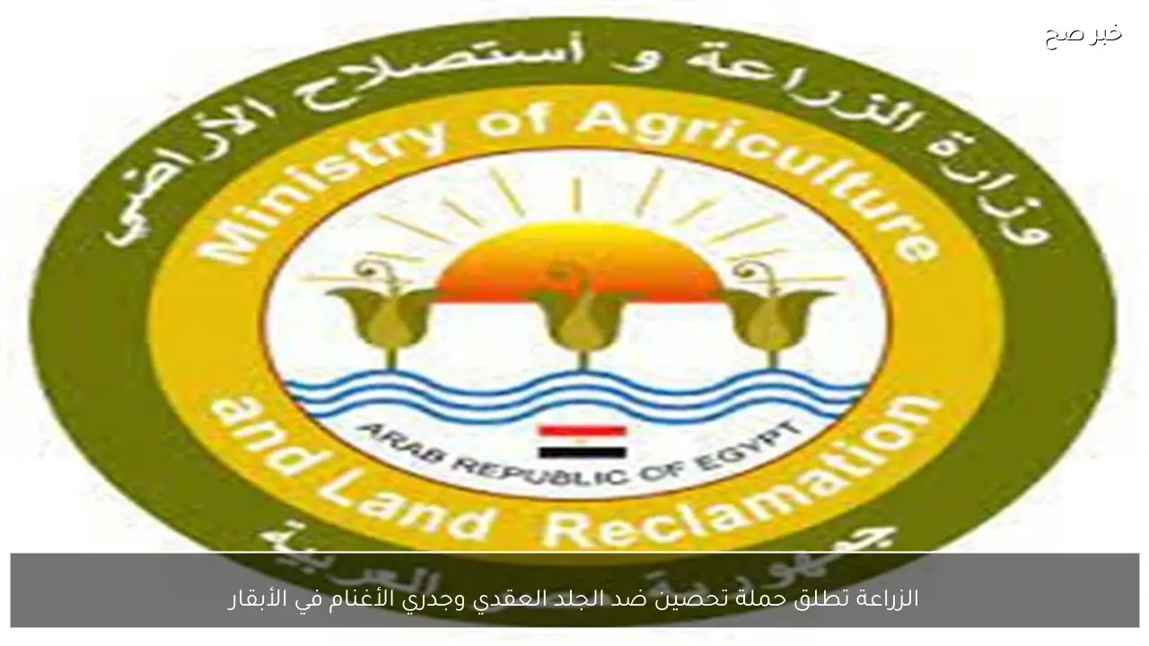 الزراعة تطلق حملة تحصين ضد الجلد العقدي وجدري الأغنام في الأبقار