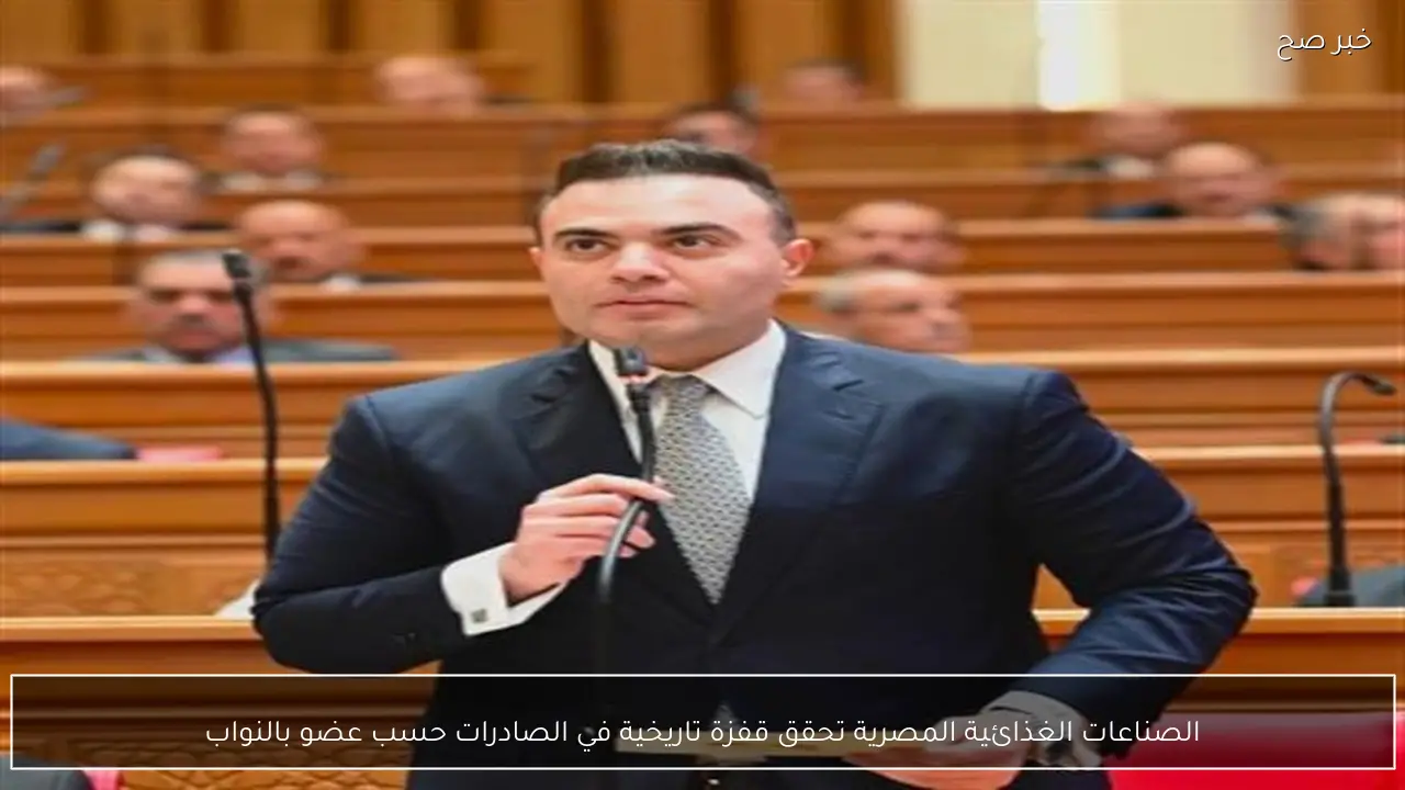 الصناعات الغذائية المصرية تحقق قفزة تاريخية في الصادرات حسب عضو بالنواب