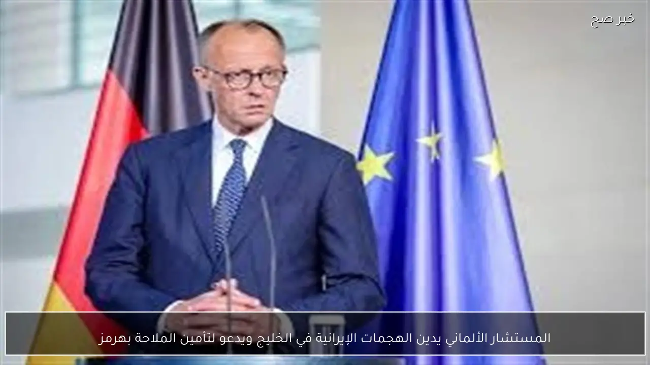 المستشار الألماني يدين الهجمات الإيرانية في الخليج ويدعو لتأمين الملاحة بهرمز