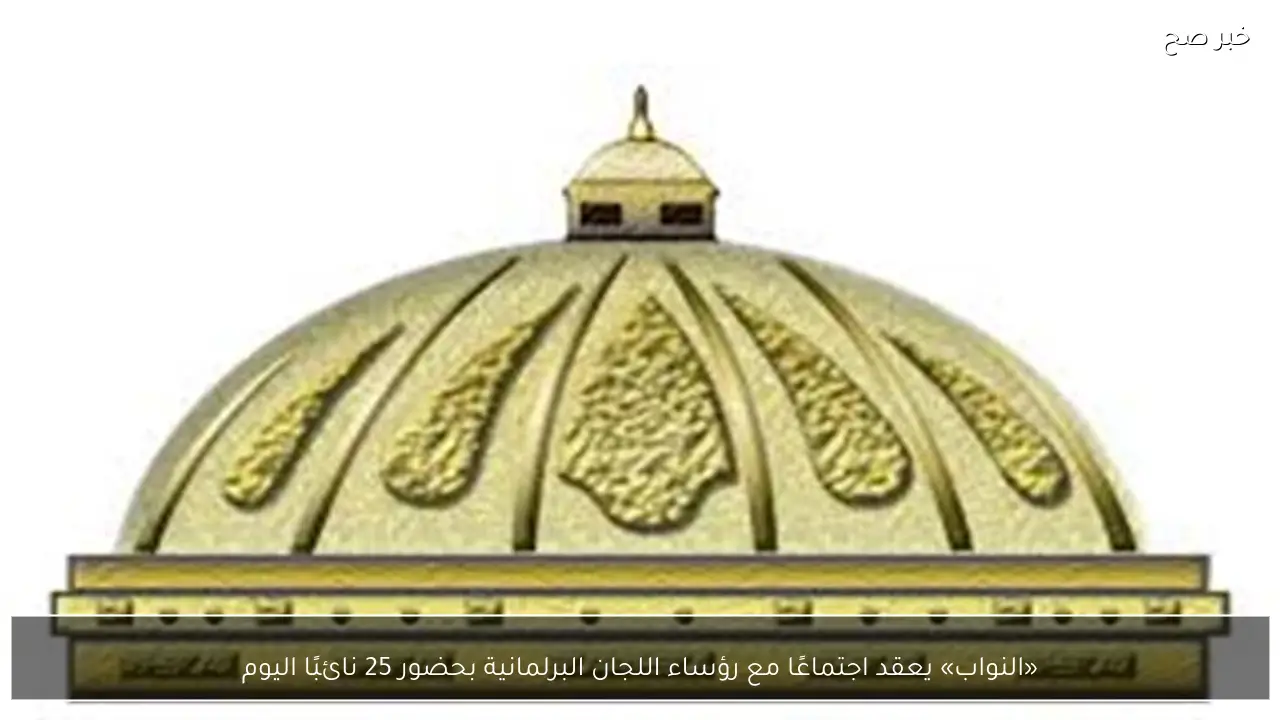 «النواب» يعقد اجتماعًا مع رؤساء اللجان البرلمانية بحضور 25 نائبًا اليوم