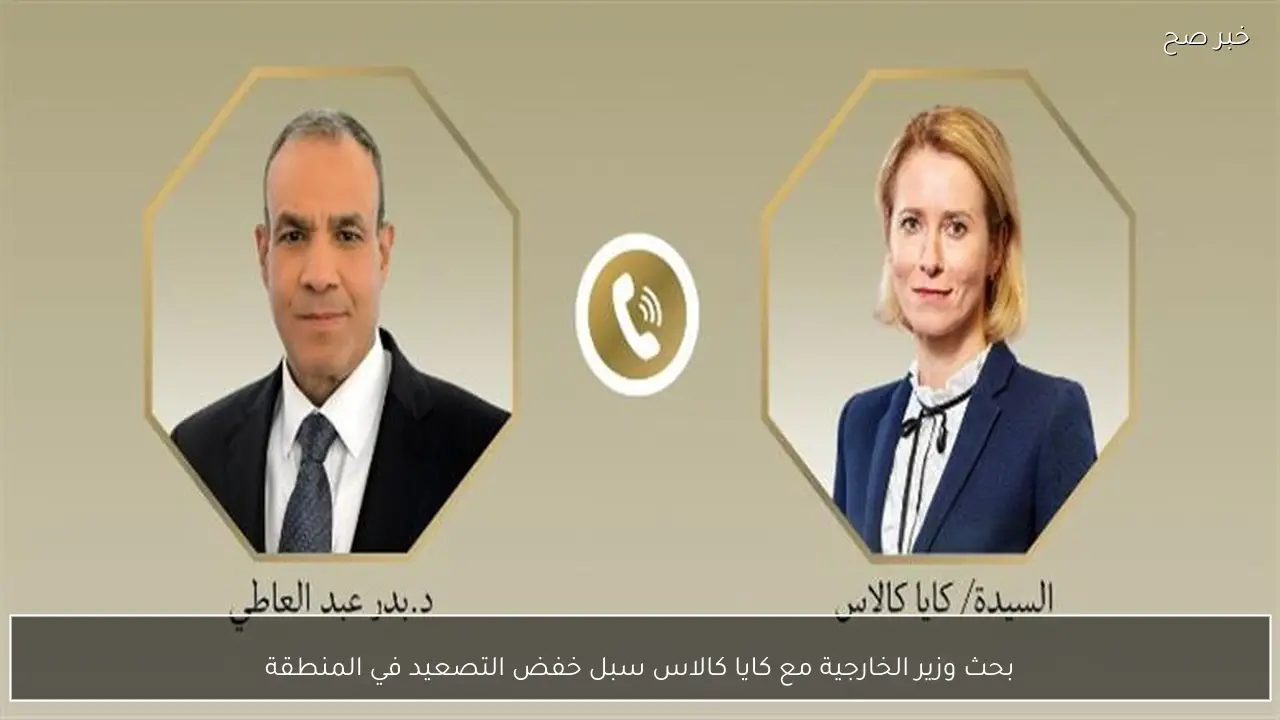 بحث وزير الخارجية مع كايا كالاس سبل خفض التصعيد في المنطقة