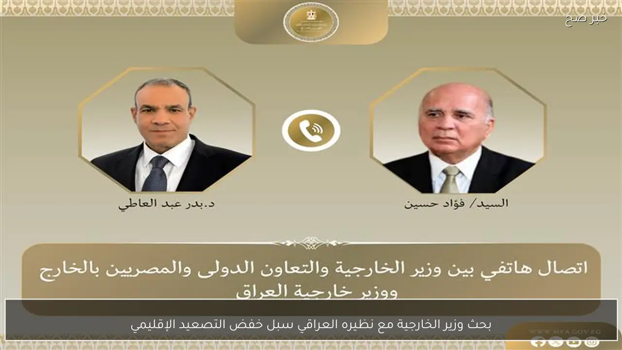 بحث وزير الخارجية مع نظيره العراقي سبل خفض التصعيد الإقليمي