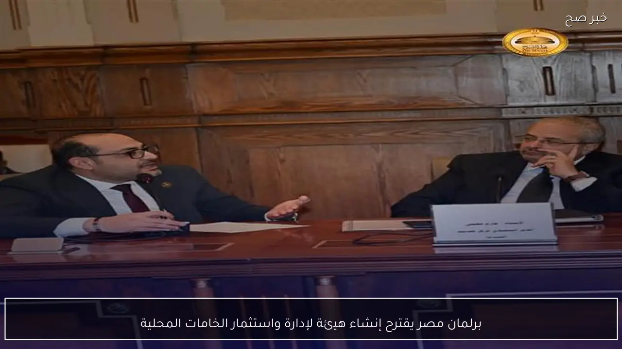 برلمان مصر يقترح إنشاء هيئة لإدارة واستثمار الخامات المحلية