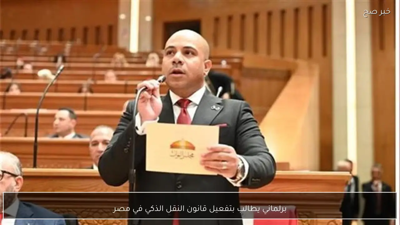 برلماني يطالب بتفعيل قانون النقل الذكي في مصر