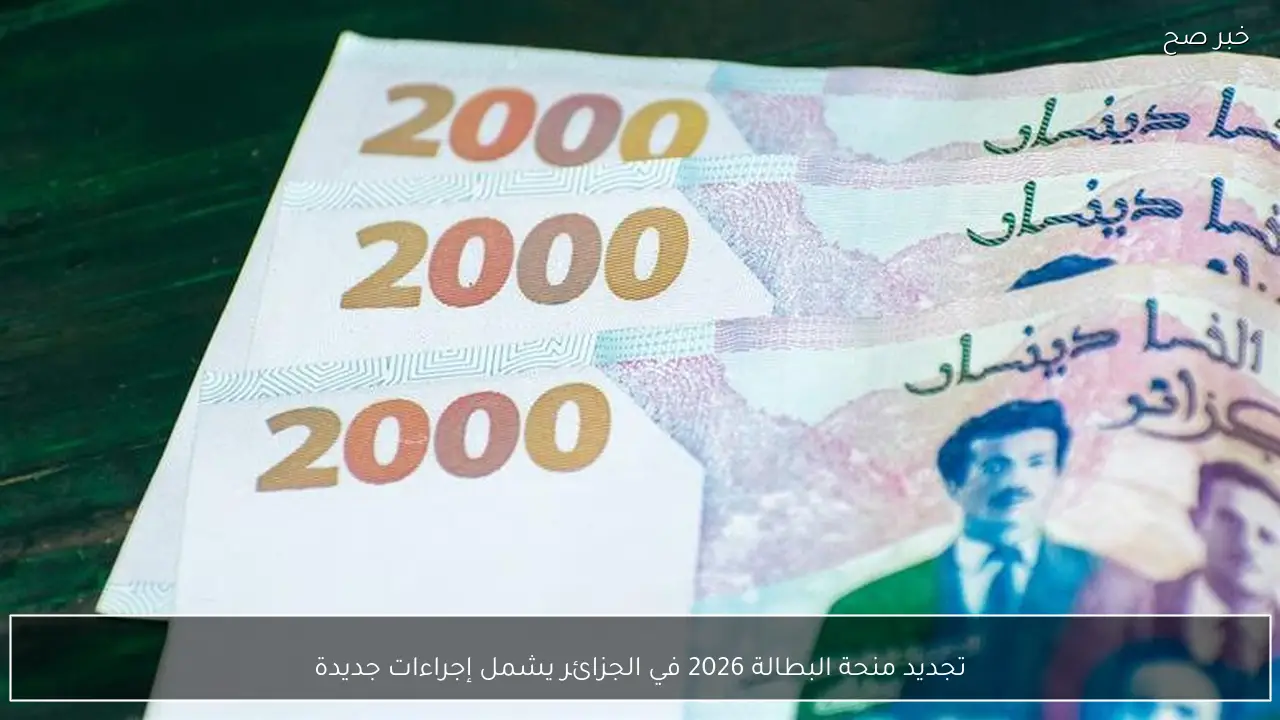 تجديد منحة البطالة 2026 في الجزائر يشمل إجراءات جديدة