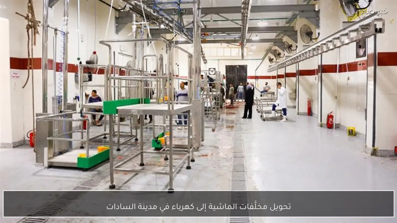 تحويل مخلَّفات الماشية إلى كهرباء في مدينة السادات