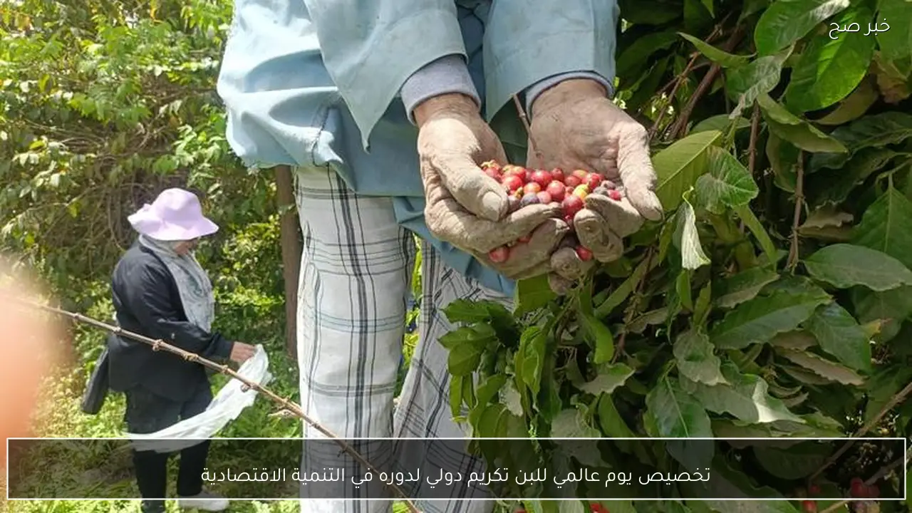 تخصيص يوم عالمي للبن تكريم دولي لدوره في التنمية الاقتصادية