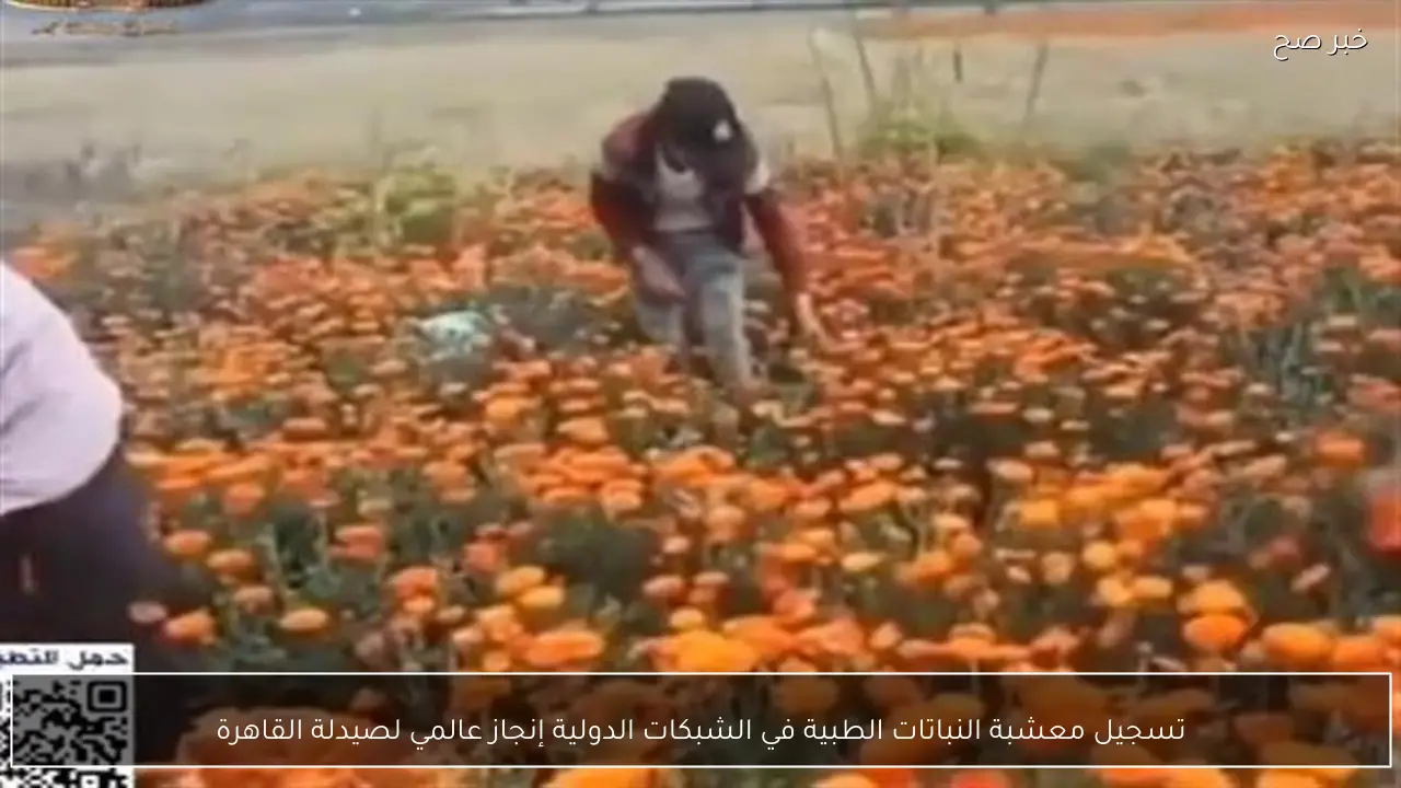 تسجيل معشبة النباتات الطبية في الشبكات الدولية إنجاز عالمي لصيدلة القاهرة