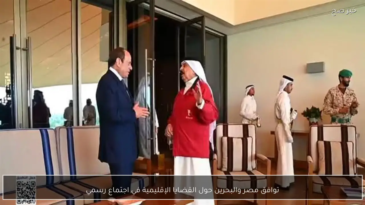 توافق مصر والبحرين حول القضايا الإقليمية في اجتماع رسمي