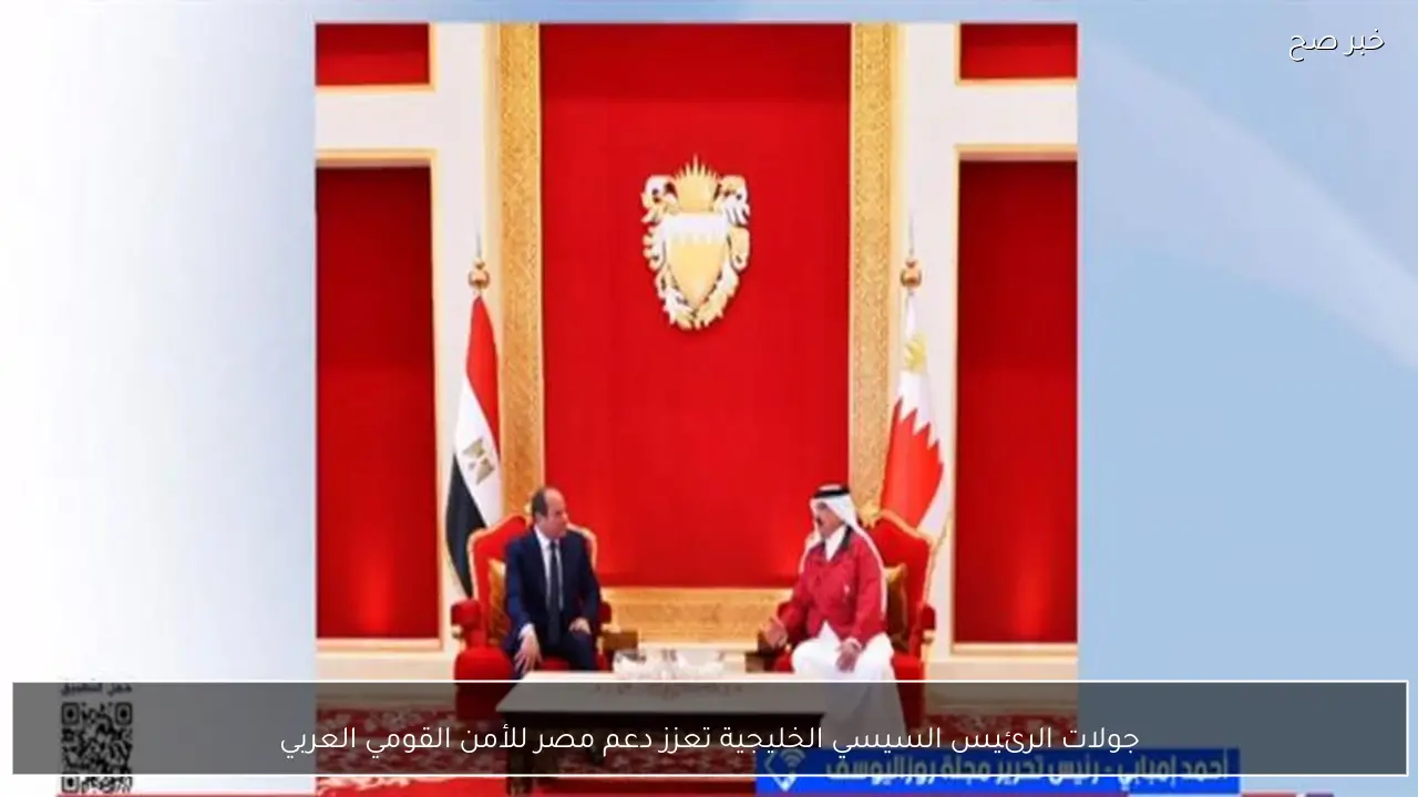 جولات الرئيس السيسي الخليجية تعزز دعم مصر للأمن القومي العربي