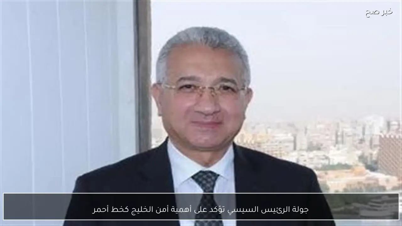 جولة الرئيس السيسي تؤكد على أهمية أمن الخليج كخط أحمر