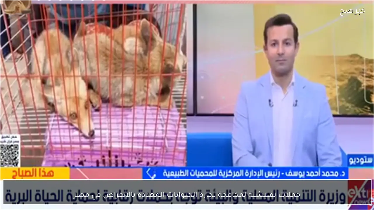 حملات تفتيشية لمكافحة تجارة الحيوانات المهددة بالانقراض في مصر