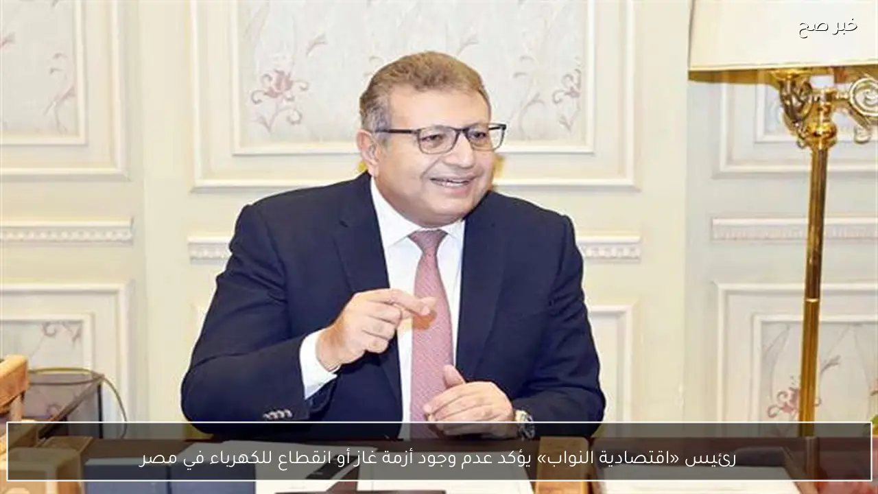 رئيس «اقتصادية النواب» يؤكد عدم وجود أزمة غاز أو انقطاع للكهرباء في مصر