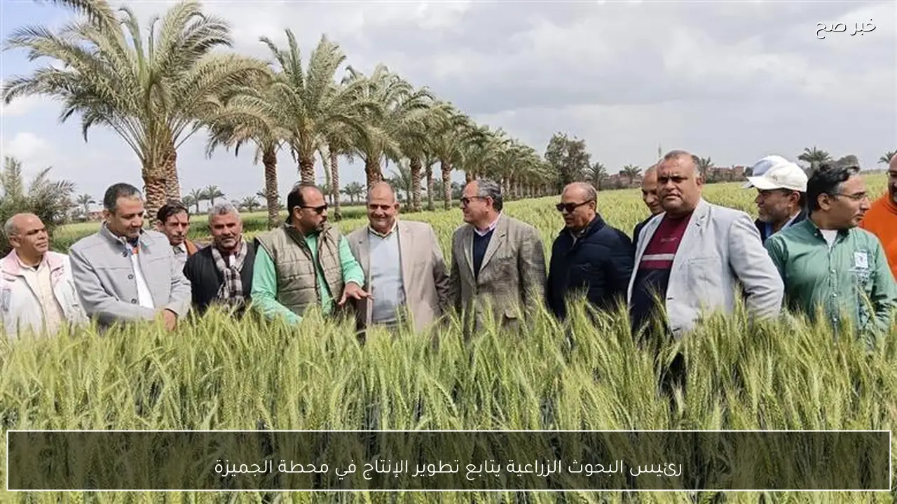 رئيس البحوث الزراعية يتابع تطوير الإنتاج في محطة الجميزة