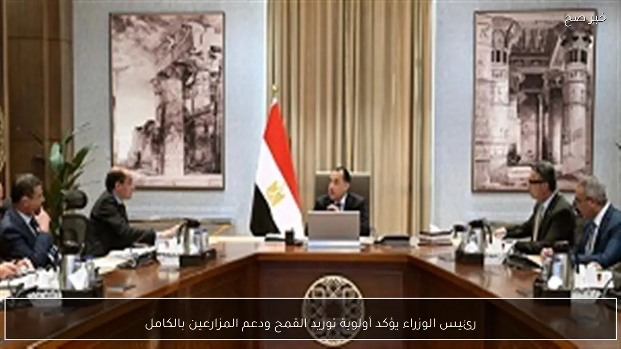 رئيس الوزراء يؤكد أولوية توريد القمح ودعم المزارعين بالكامل