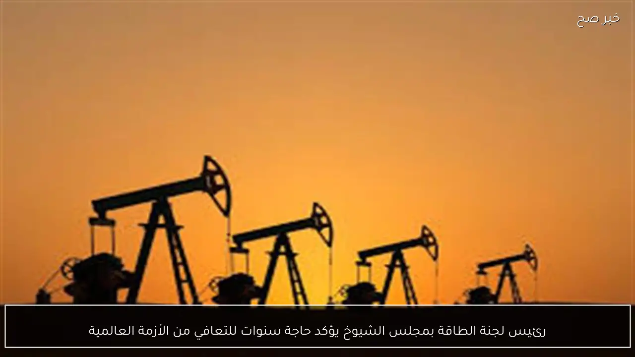 رئيس لجنة الطاقة بمجلس الشيوخ يؤكد حاجة سنوات للتعافي من الأزمة العالمية