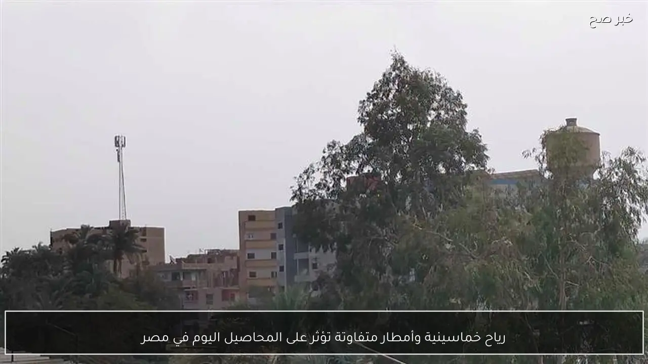 رياح خماسينية وأمطار متفاوتة تؤثر على المحاصيل اليوم في مصر