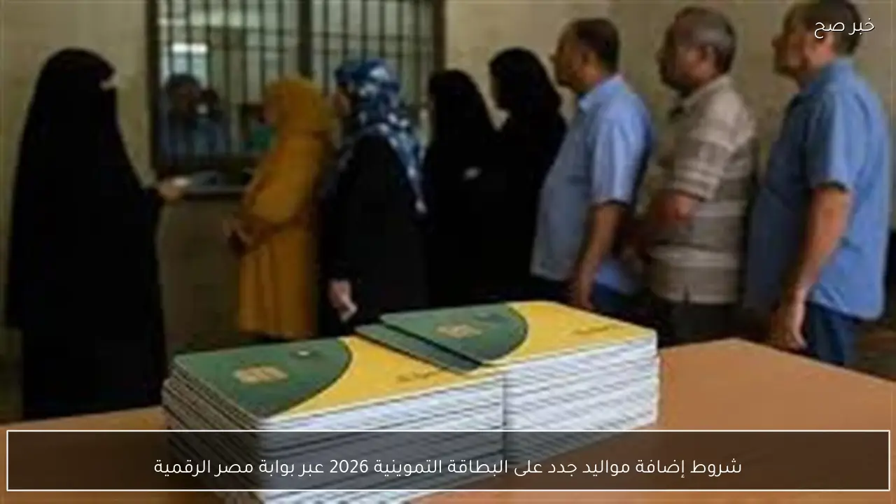 شروط إضافة مواليد جدد على البطاقة التموينية 2026 عبر بوابة مصر الرقمية