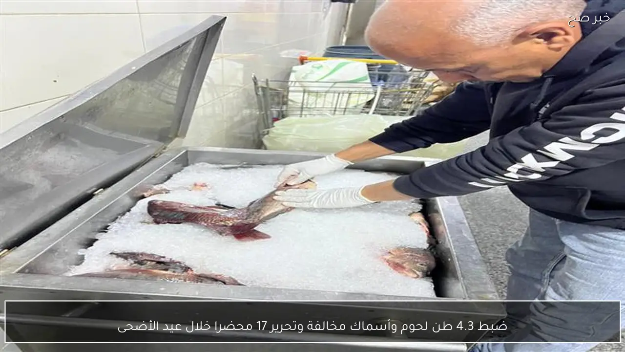 ضبط 4.3 طن لحوم وأسماك مخالفة وتحرير 17 محضرا خلال عيد الأضحى