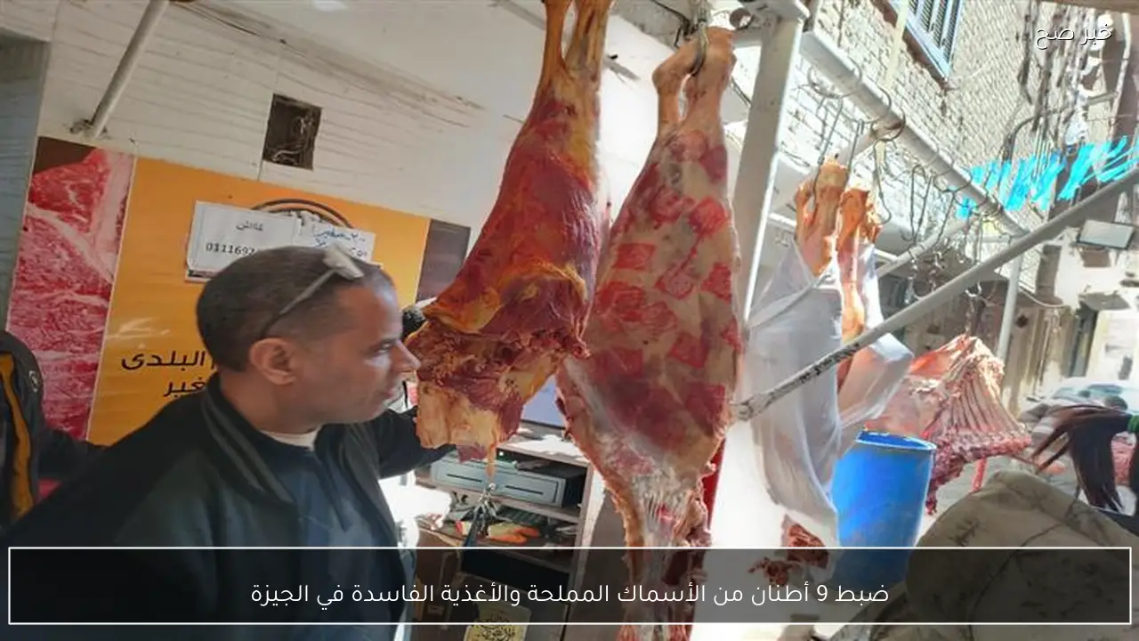 ضبط 9 أطنان من الأسماك المملحة والأغذية الفاسدة في الجيزة