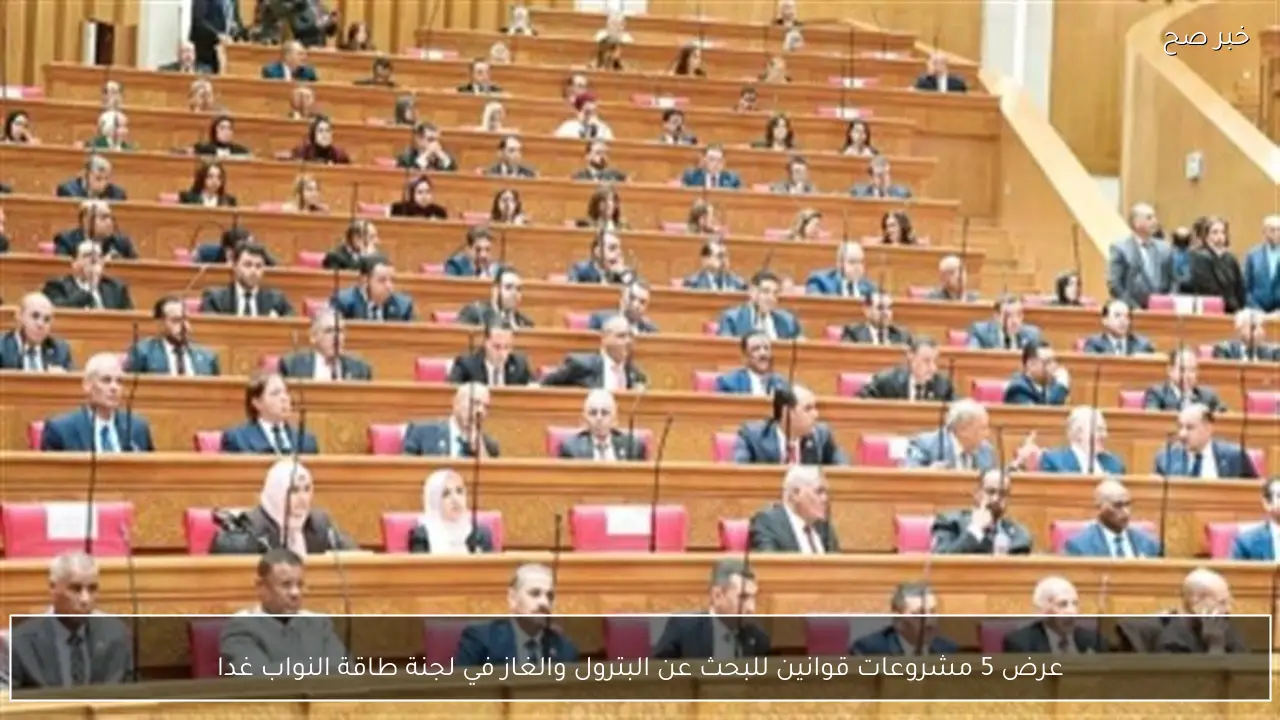 عرض 5 مشروعات قوانين للبحث عن البترول والغاز في لجنة طاقة النواب غدا