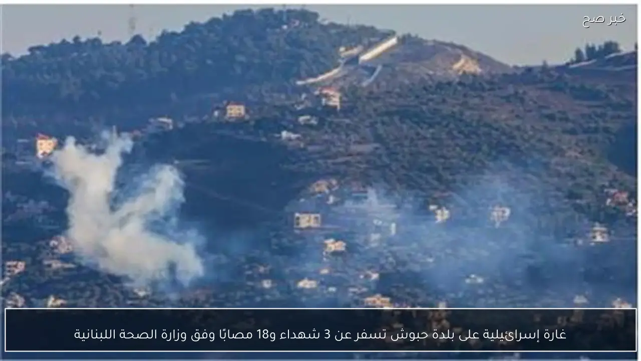 غارة إسرائيلية على بلدة حبوش تسفر عن 3 شهداء و18 مصابًا وفق وزارة الصحة اللبنانية