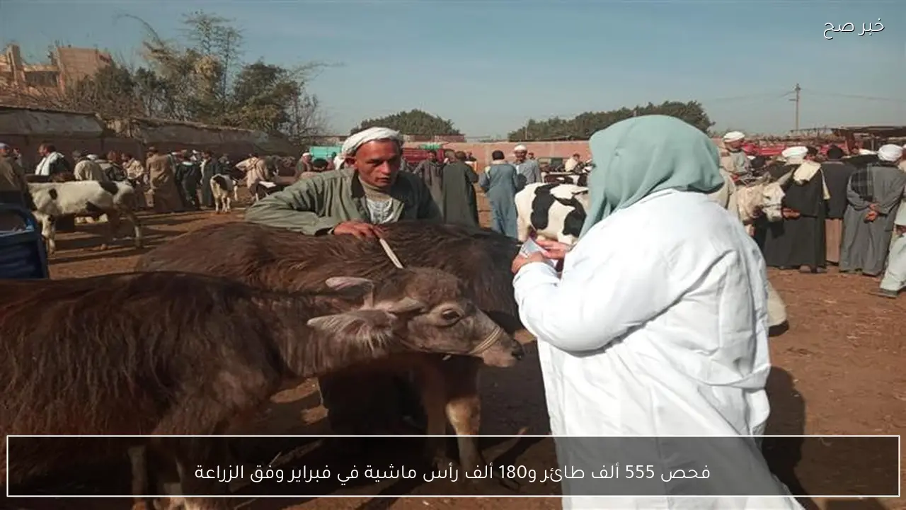 فحص 555 ألف طائر و180 ألف رأس ماشية في فبراير وفق الزراعة