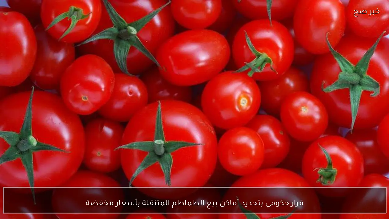 قرار حكومي بتحديد أماكن بيع الطماطم المتنقلة بأسعار مخفضة