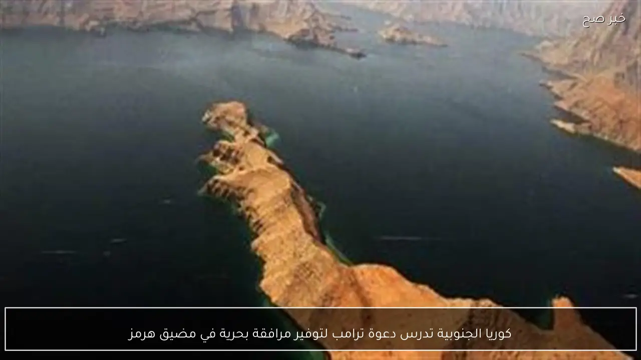 كوريا الجنوبية تدرس دعوة ترامب لتوفير مرافقة بحرية في مضيق هرمز