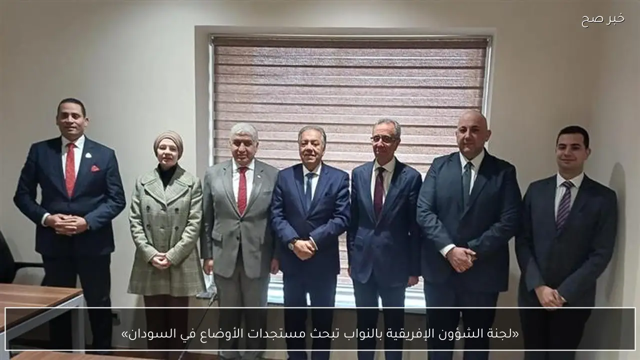 «لجنة الشؤون الإفريقية بالنواب تبحث مستجدات الأوضاع في السودان»