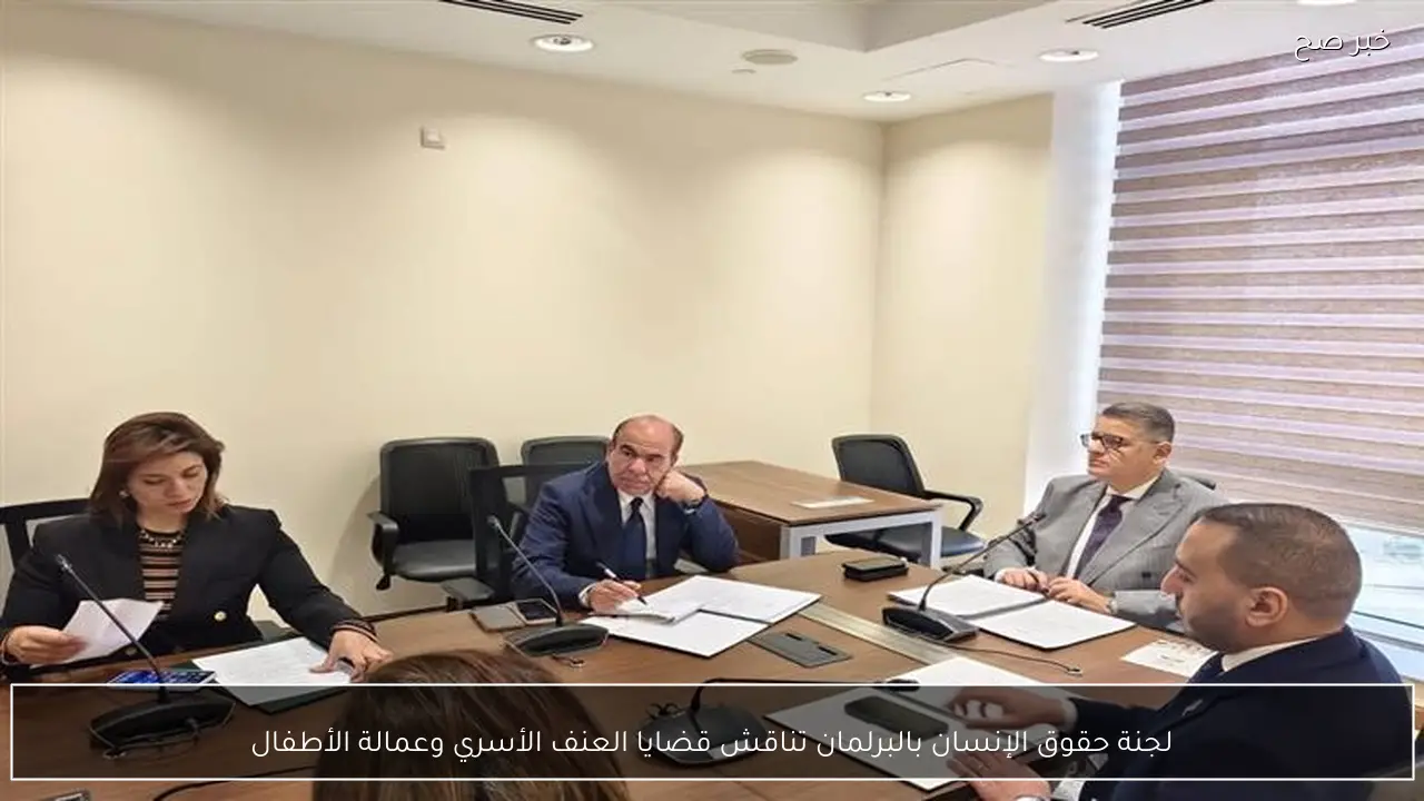 لجنة حقوق الإنسان بالبرلمان تناقش قضايا العنف الأسري وعمالة الأطفال