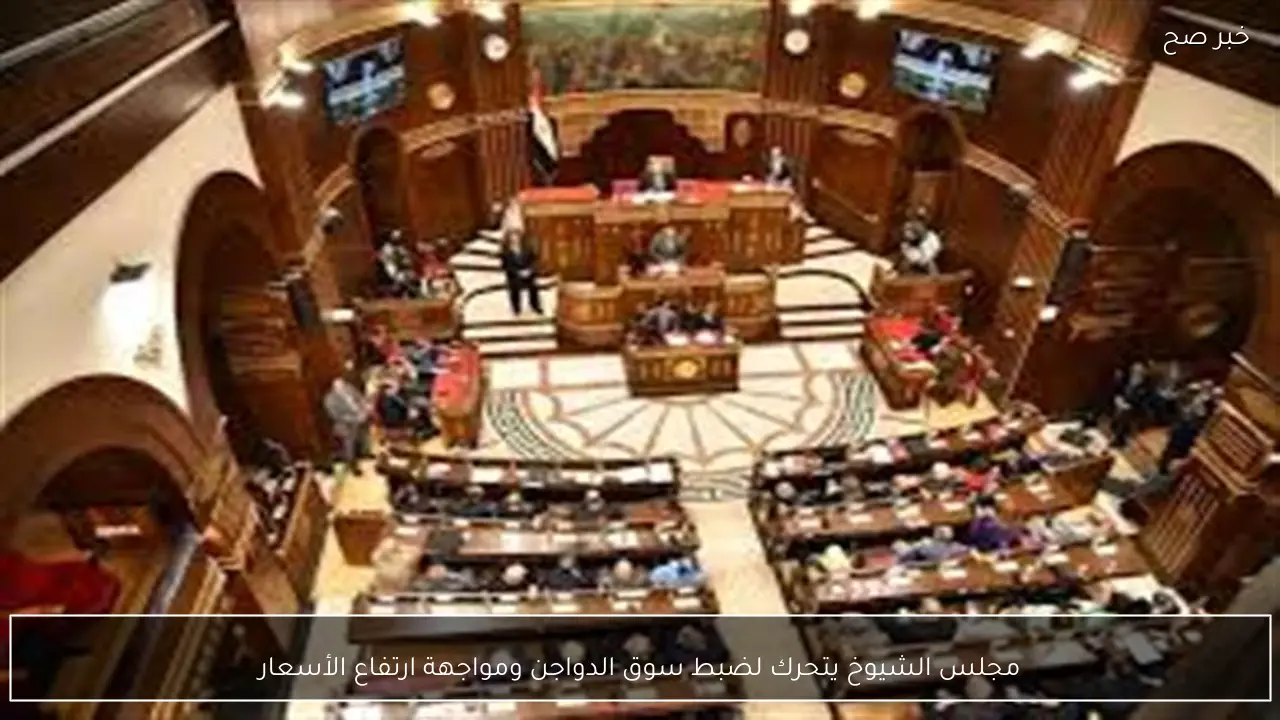 مجلس الشيوخ يتحرك لضبط سوق الدواجن ومواجهة ارتفاع الأسعار