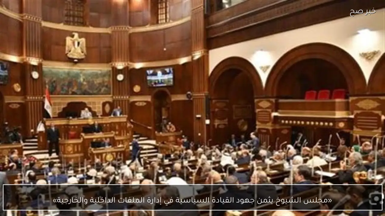 «مجلس الشيوخ يثمن جهود القيادة السياسية في إدارة الملفات الداخلية والخارجية»