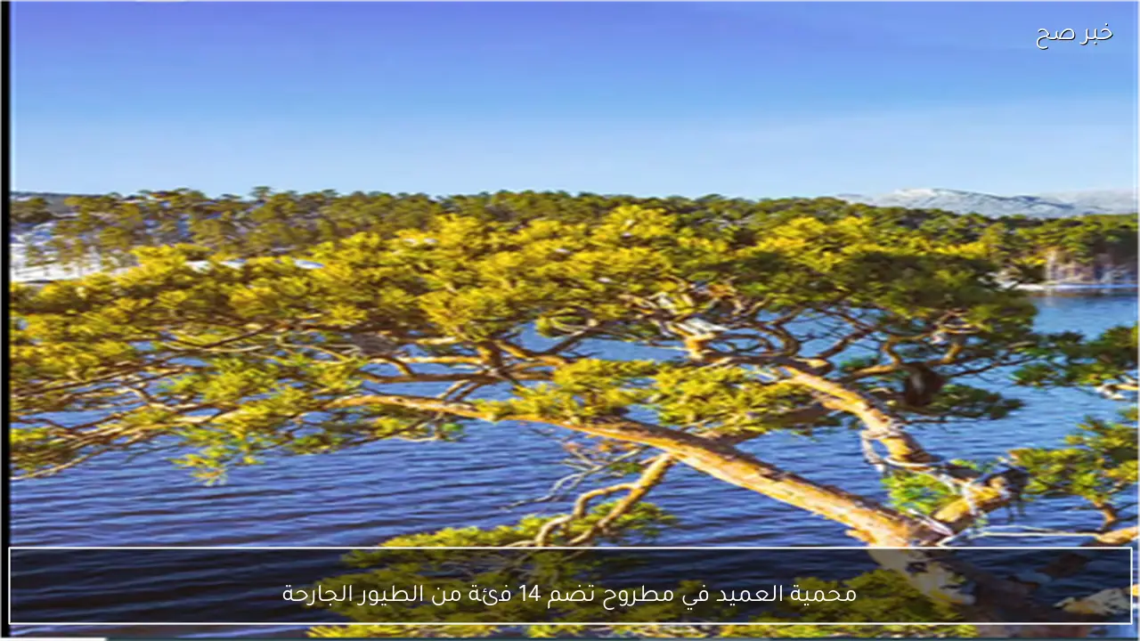 محمية العميد في مطروح تضم 14 فئة من الطيور الجارحة