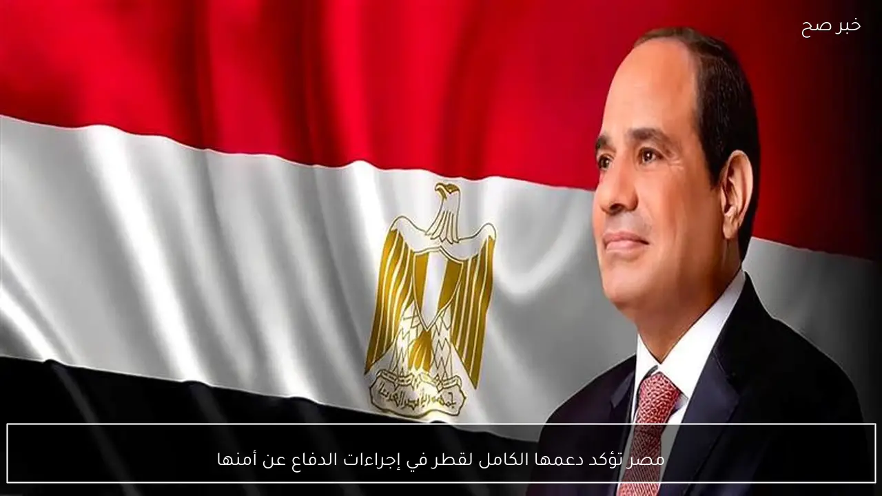 مصر تؤكد دعمها الكامل لقطر في إجراءات الدفاع عن أمنها